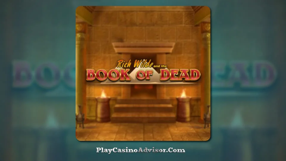 Experience the thrill of the Dead or Alive real money slot game.