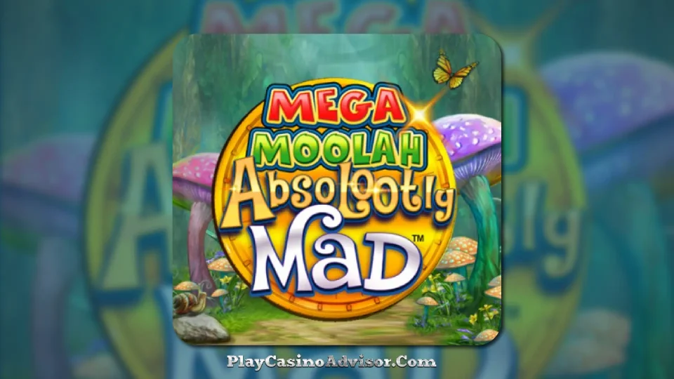 Play High-Payout Slots and Score Major Bonuses with Mega Moolah.